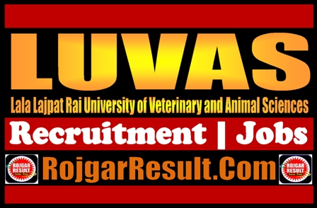 LUVAS Recruitment 2024 Online Form