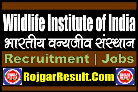 Wildlife Institute of India Recruitment 2025
