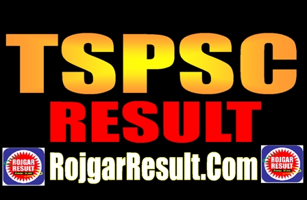 TSPSC Result 2024