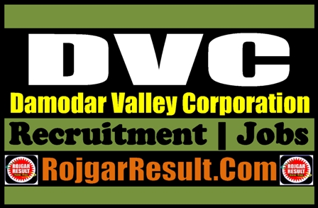 Damodar Valley Corporation Recruitment 2024