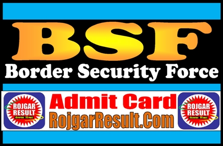 BSF Admit Card 2025