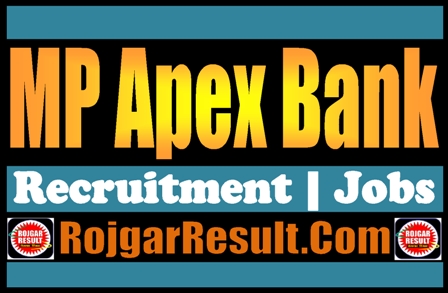 MP Apex Bank Recruitment 2024