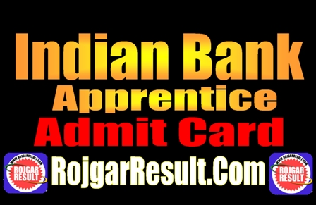 Indian Bank Apprentice Admit Card 2024