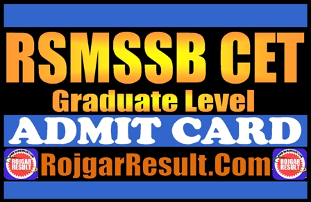 RSMSSB CET Graduate Level Admit Card 2024