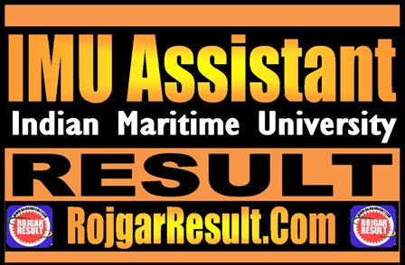 IMU Assistant Result 2025