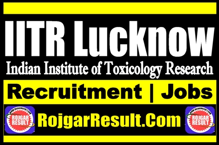 IITR Lucknow Recruitment 2025