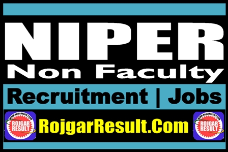 Niper Non Faculty Recruitment 2025