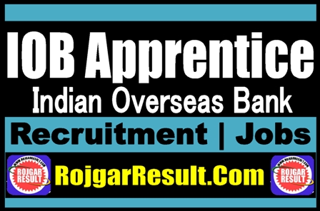 IOB Apprentice Recruitment 2025